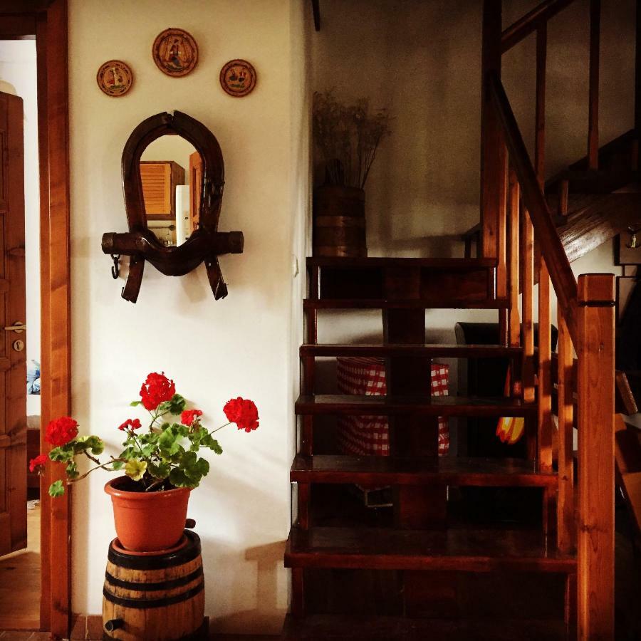 Bran White Clouds House And Chalet Dış mekan fotoğraf