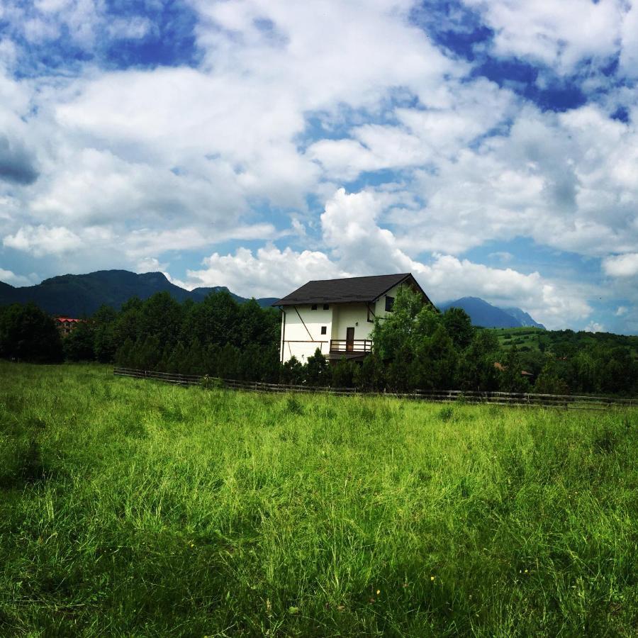 Bran White Clouds House And Chalet Dış mekan fotoğraf